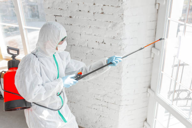 Reliable Bothell West, WA Mold Removal Services Solutions